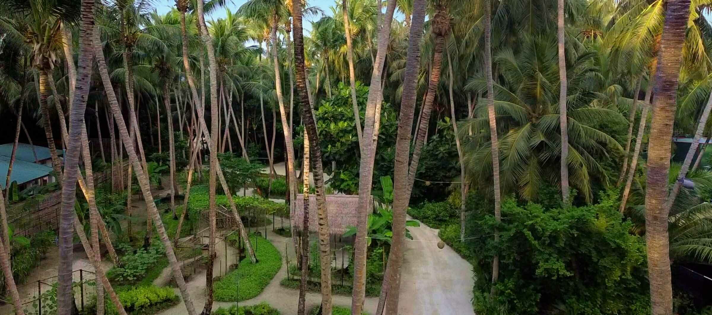 The pathways and lush greenery at Amilla, an eco-friendly resort.